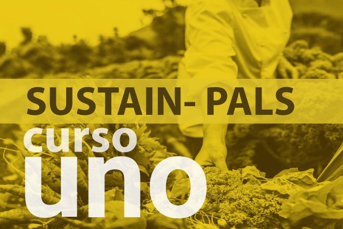 SUSTAIN PALS: Tendencias futuras y estrategias empresariales sostenibles