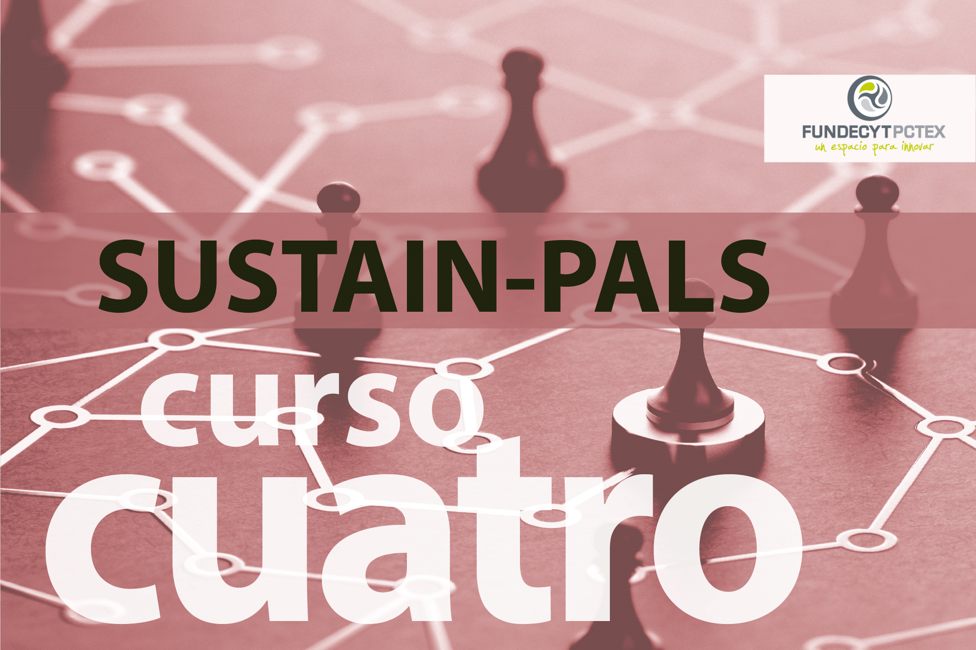 SUSTAIN PALS: Cómo elaborar y ejecutar planes de acción.